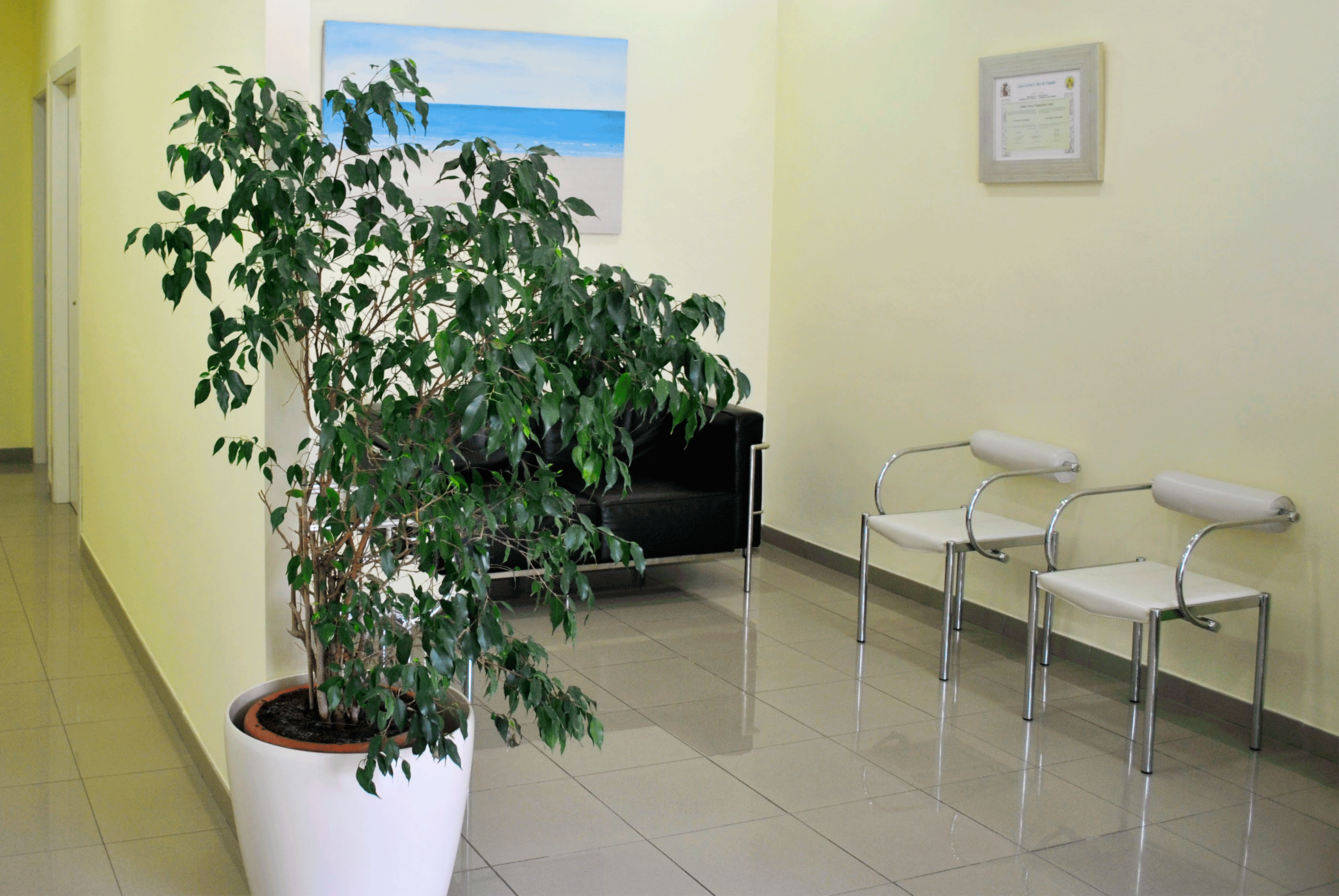 sala de espera